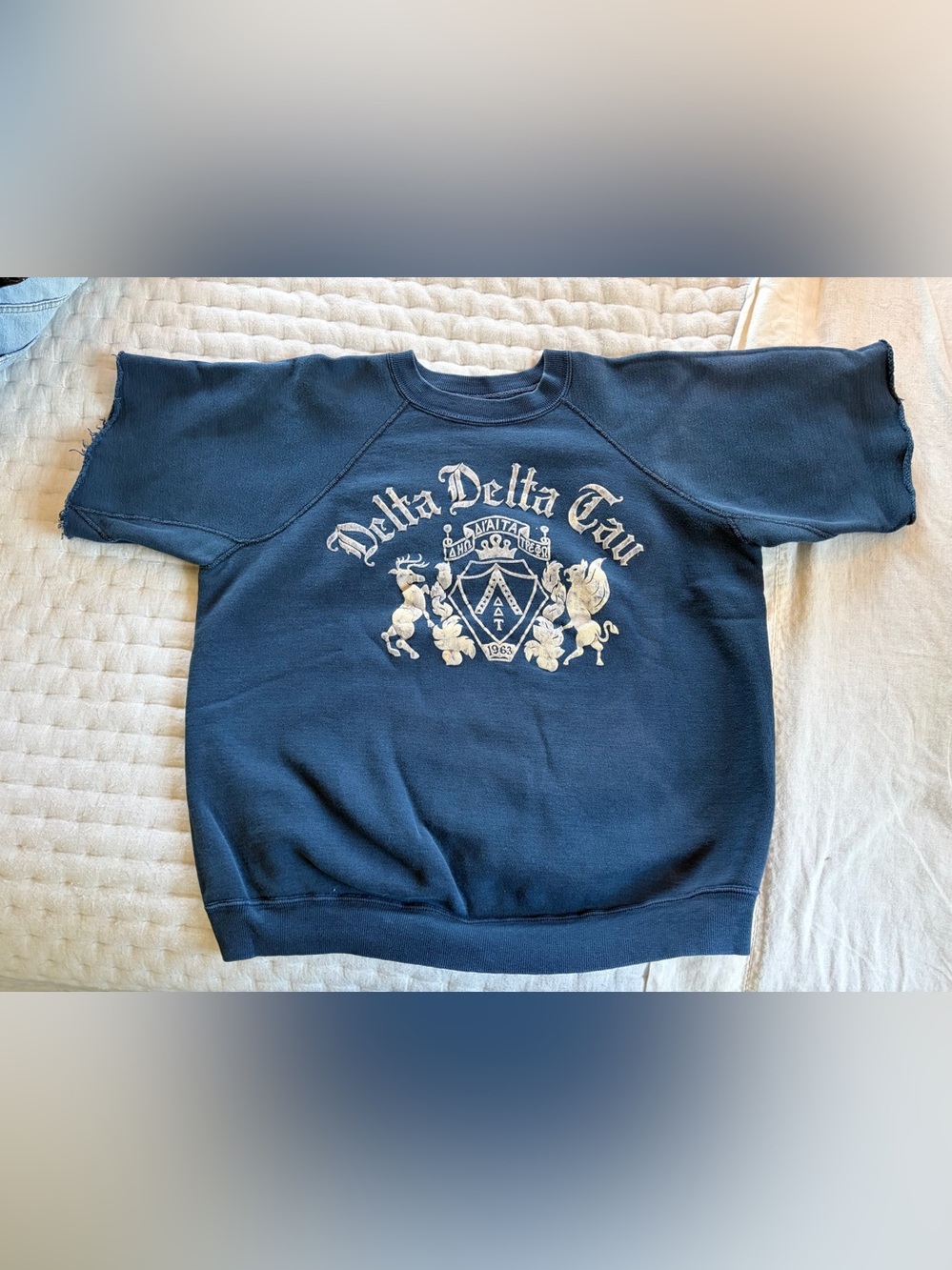 Vintage 1960’s Delta Delta Tau FraternitySweatshirt